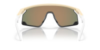 Oakley BXTR